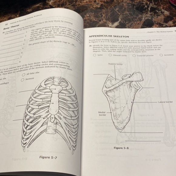 Anatomy & Physiology Coloring Workbook: A Complete Study Guide (7th Edition) - Picture 9 of 13